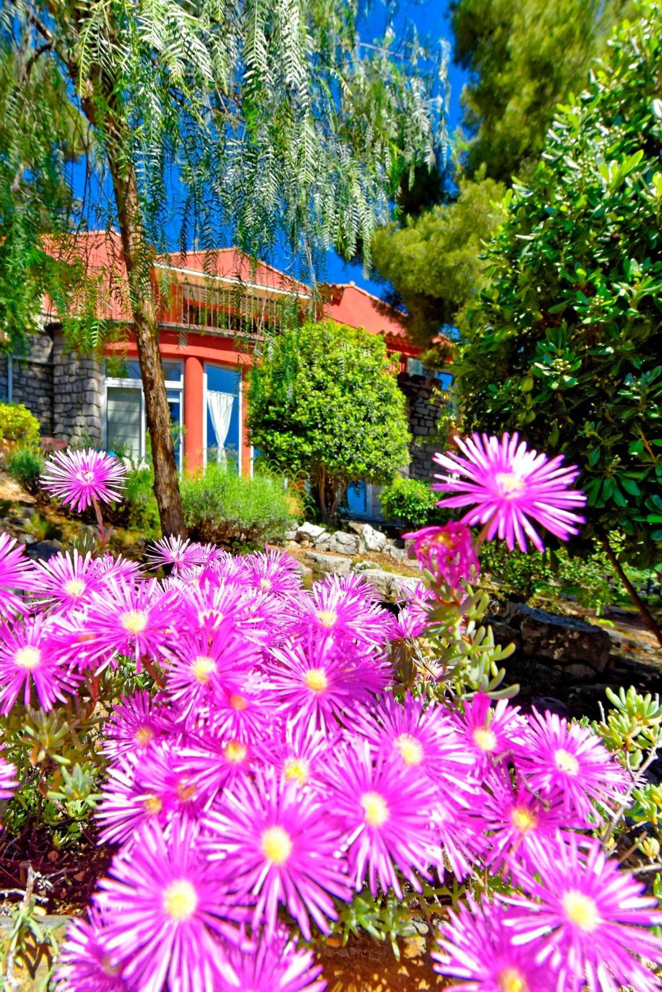 Appartements Avec Jardin Dans Villa Rocaille Cassis Exterior photo